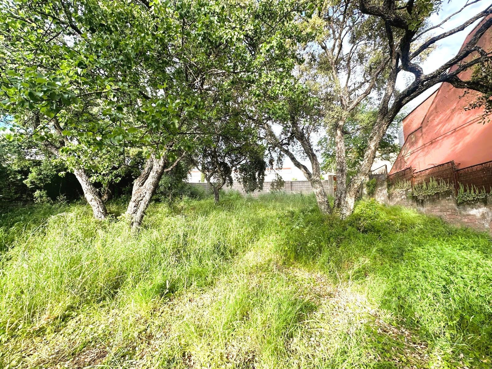 Parcela en venta en la Sierrila