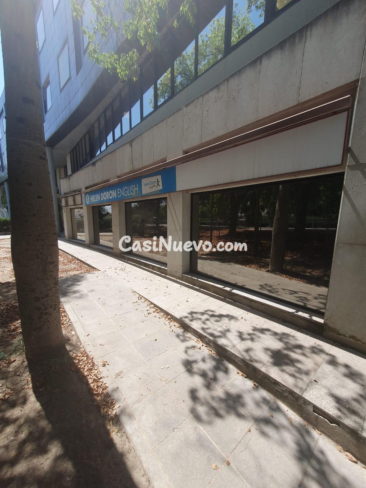 Oficinas en subarrriendo – 65 m2 con luz natural y despachos privados