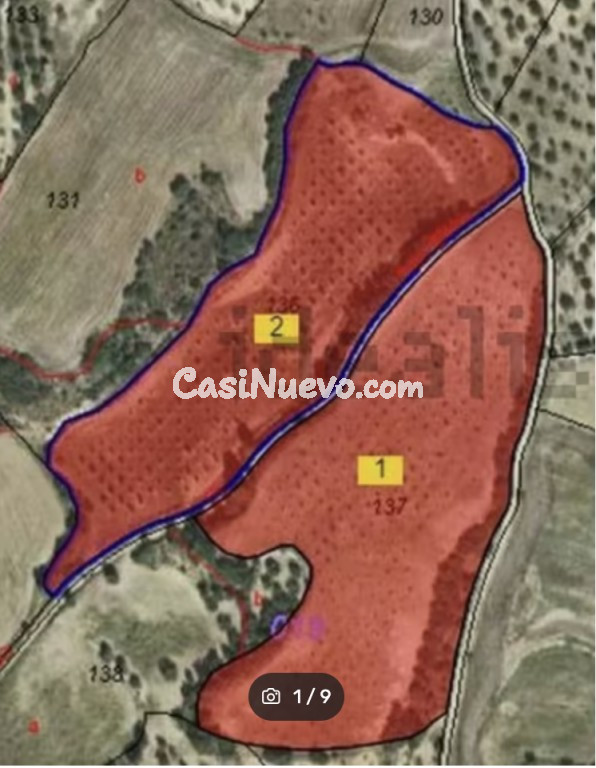 Suelo rústico en Venta en Cregenzan Huesca
