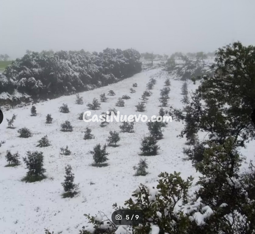 Suelo rústico en Venta en Cregenzan Huesca - foto 5