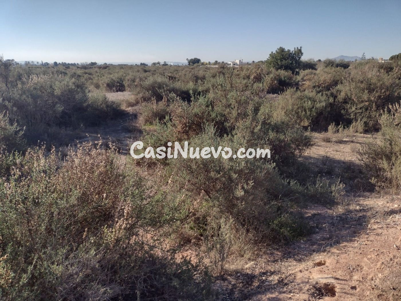 Terreno en Elche