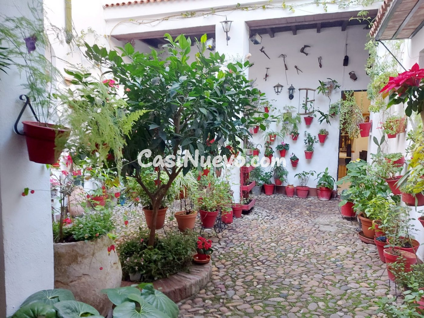 A. Casa Patios espectacular.
