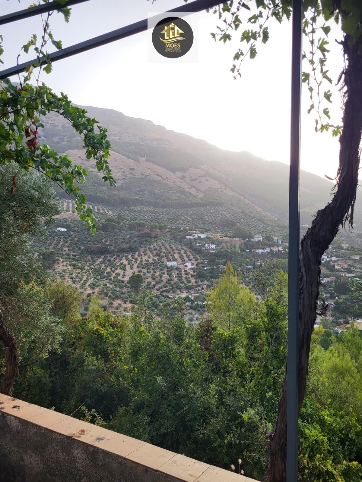 PARCELA EN LOS VILLARES - foto 4