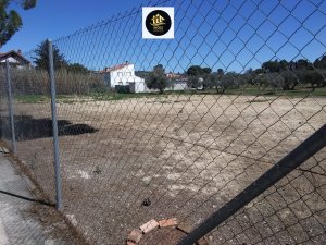 SOLAR EN LA YEDRA - foto 5