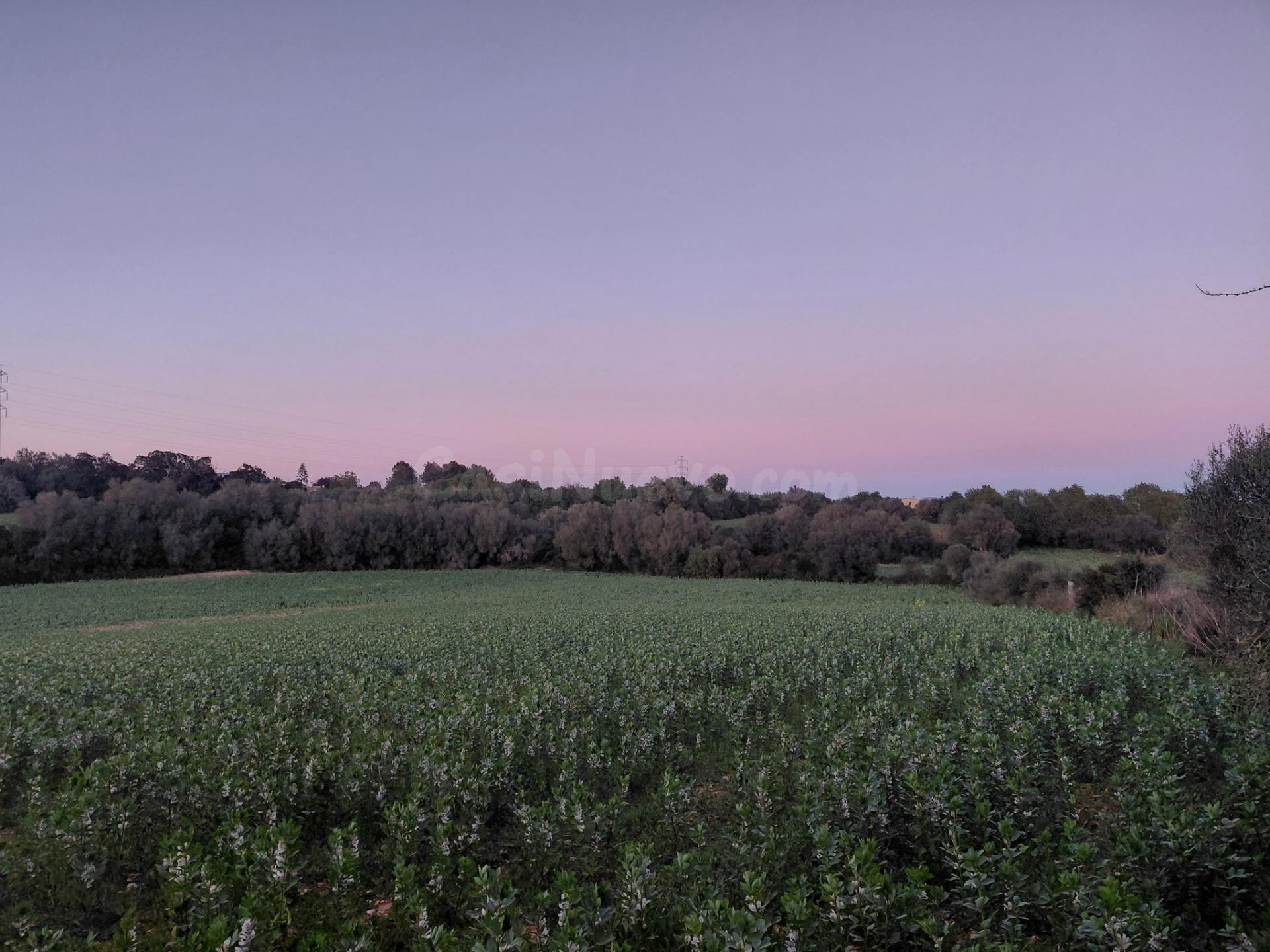 Construye tu casa de campo a 2 km de Manacor – Parcela edificable en Son Frau