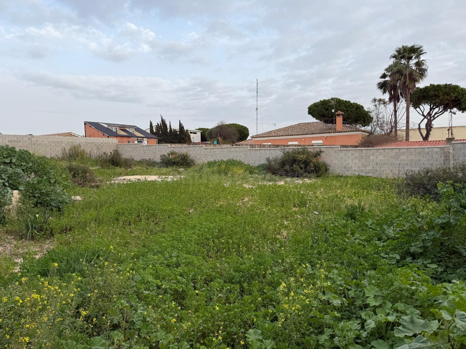 Parcela rústica de 600 m2 con División Horizontal