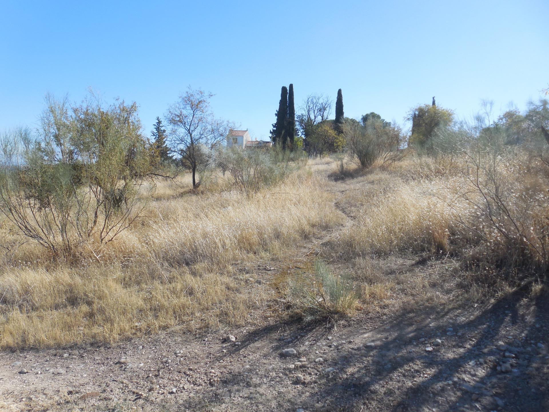 Parcela en Los Tablazos