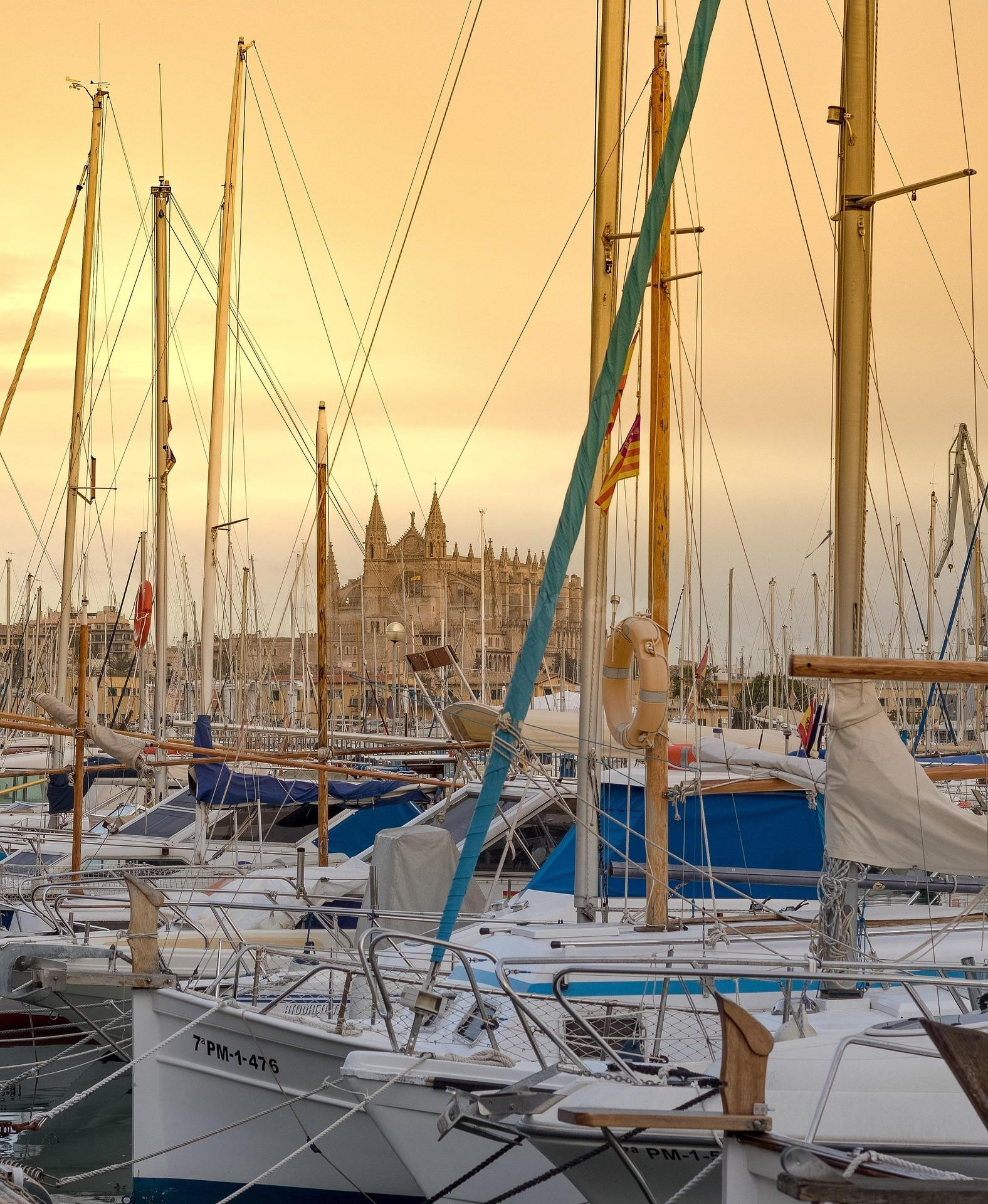 Unidades comerciales en alquiler cerca del Puerto de Palma d - foto 4