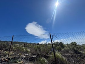 Se vende magnífico terreno rústico agrario medianera, con un - foto 5