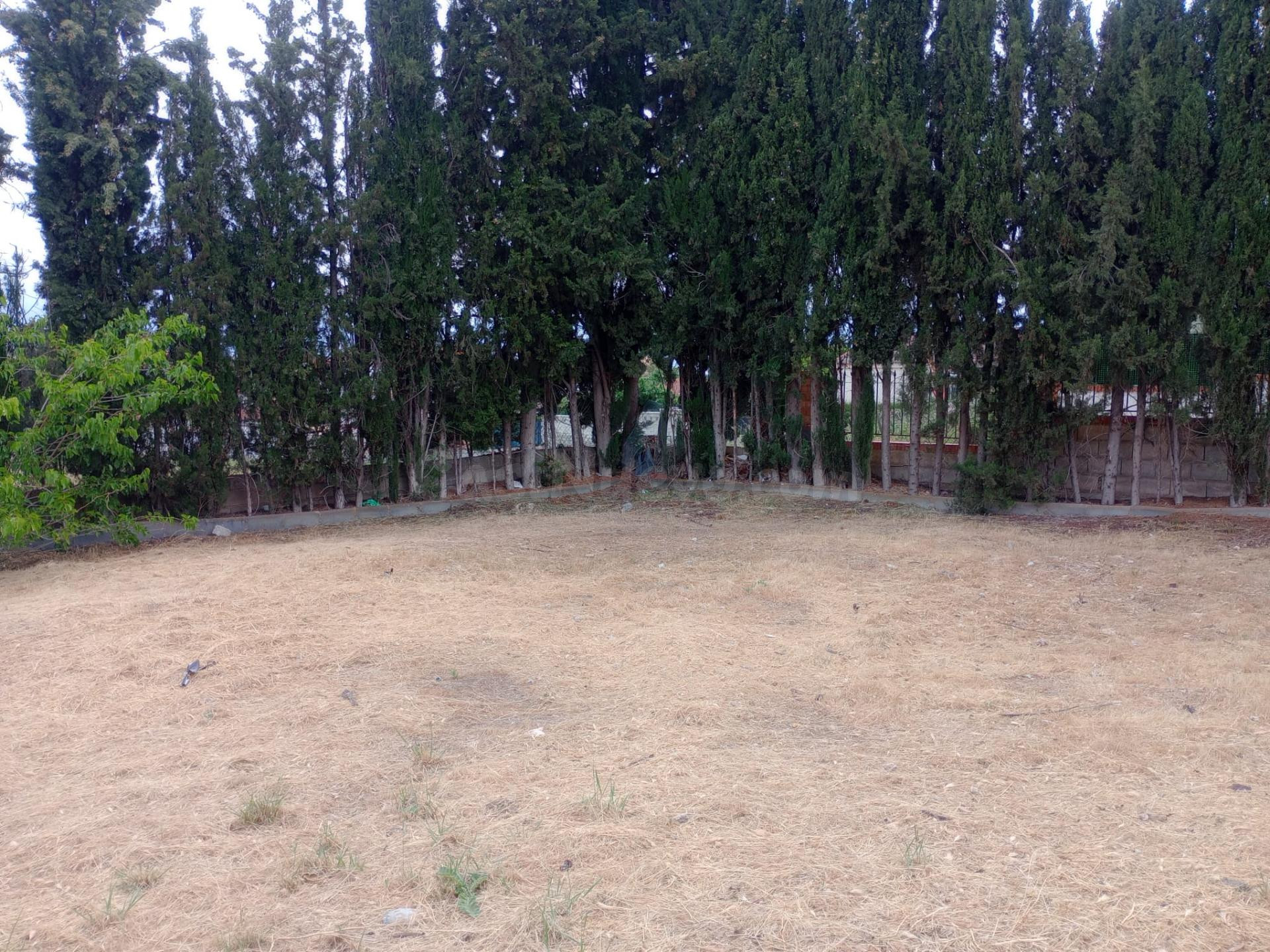 Parcela urbana en el Ventorrillo.