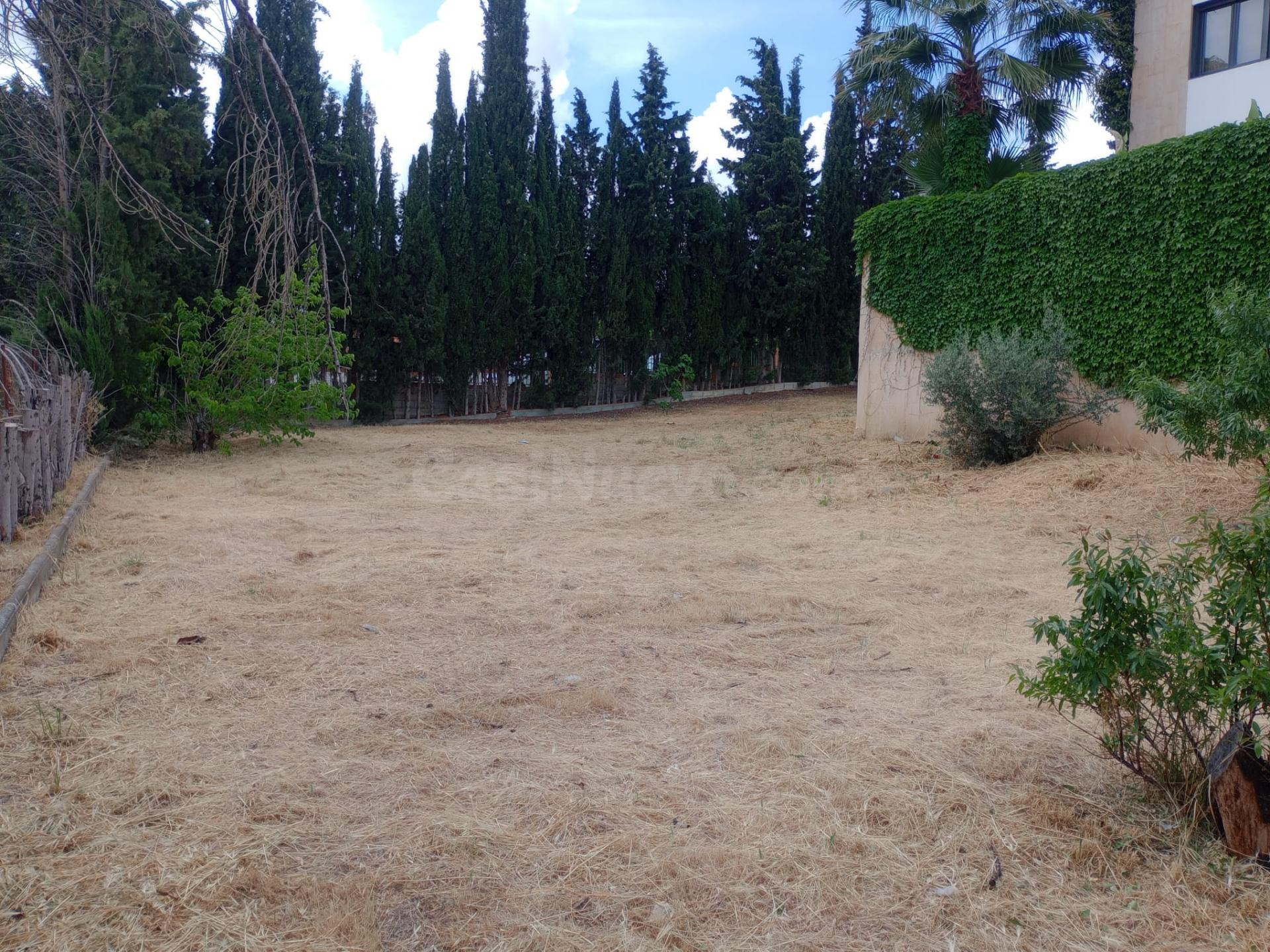 Parcela urbana en el Ventorrillo. - foto 3