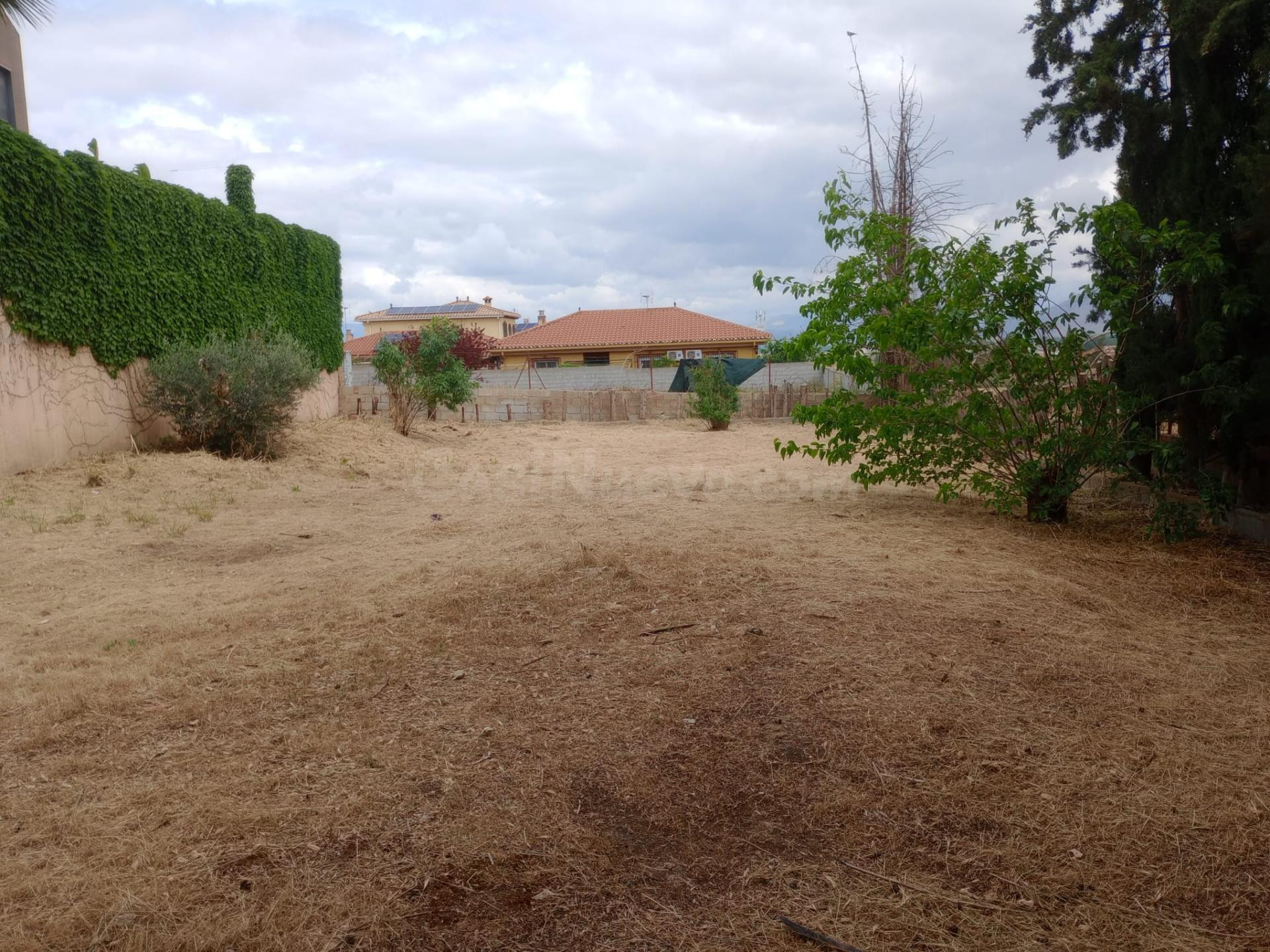 Parcela urbana en el Ventorrillo. - foto 4