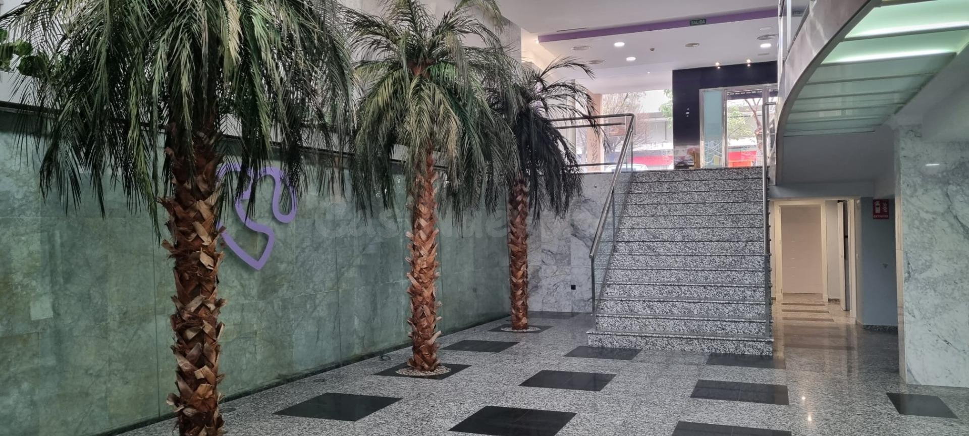 ALQUILER LOCAL EN CADIZ, ZONA AVENIDA-SAN JOSE