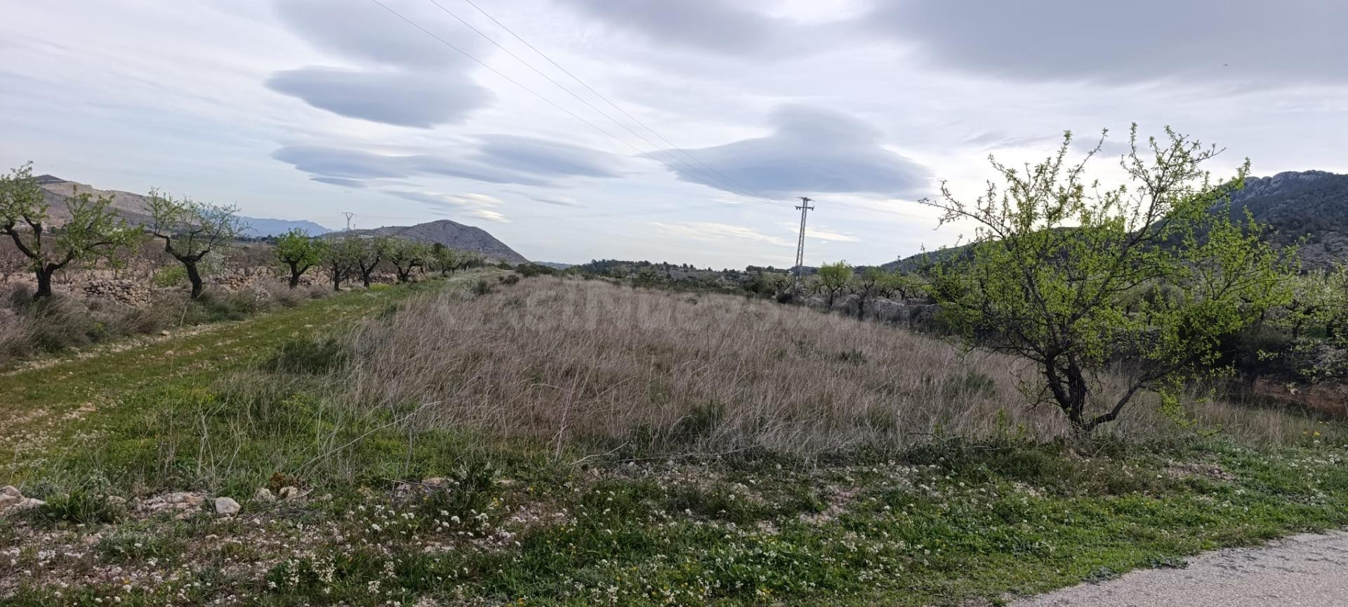 Terreno Rústico en Hondon de las Nieves - Zona BAYON