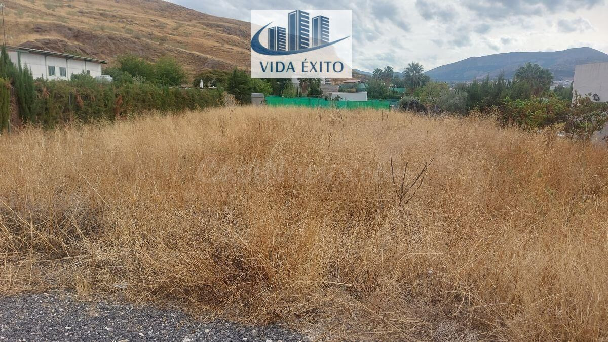 PARCELA EN PUENTE TABLAS - foto 3