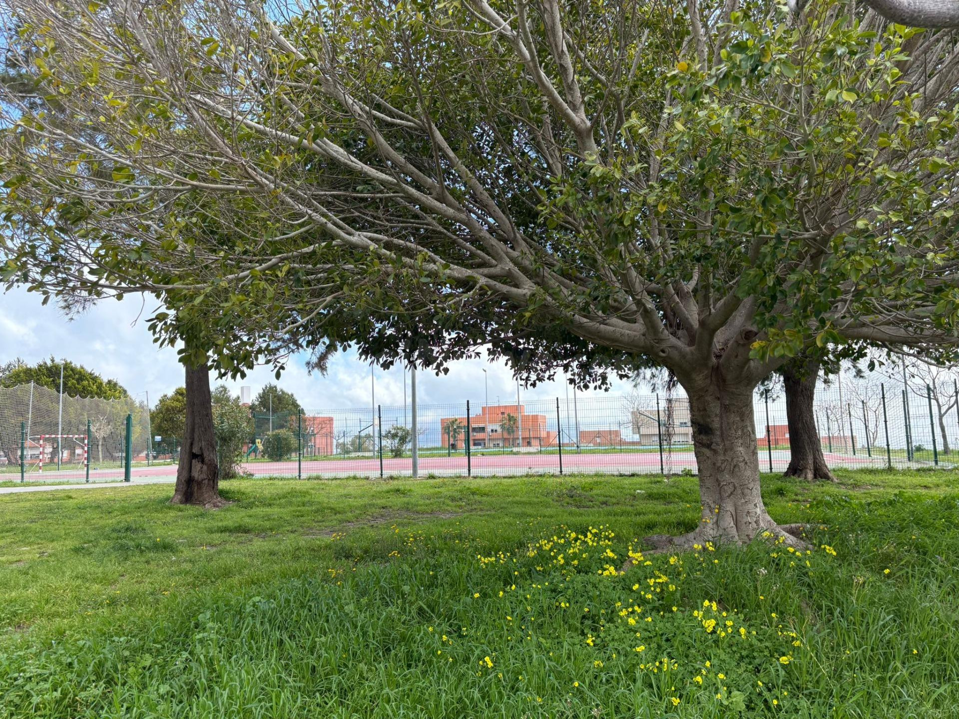 ¡EN VENTA PISO EN ALGECIRAS!