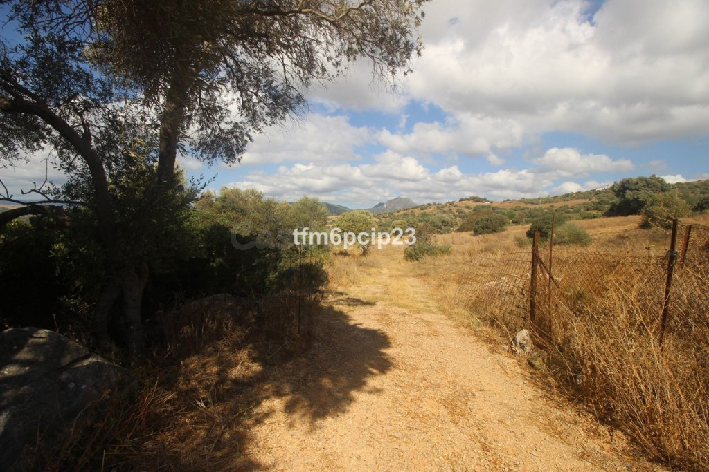 Suelo rústico en Venta en Casares Málaga