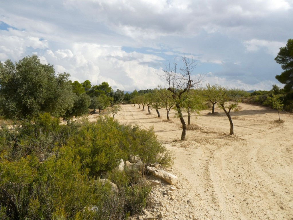 Suelo rústico en Venta en Calaceite Teruel