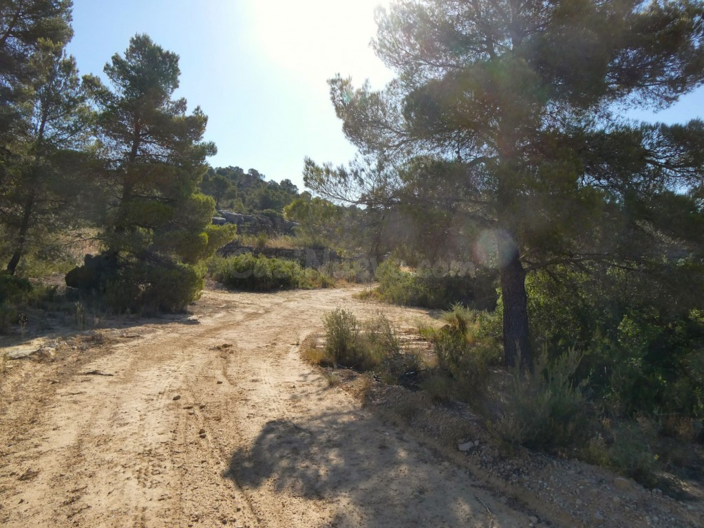Suelo rústico en Venta en Mazaleon Teruel - foto 4