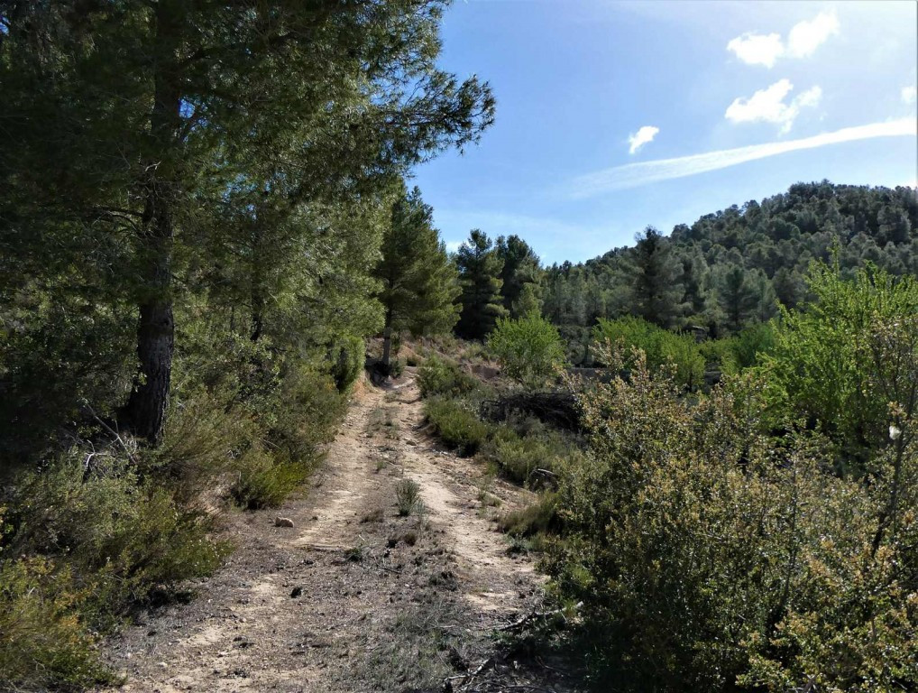 Suelo rústico en Venta en Lledo Teruel