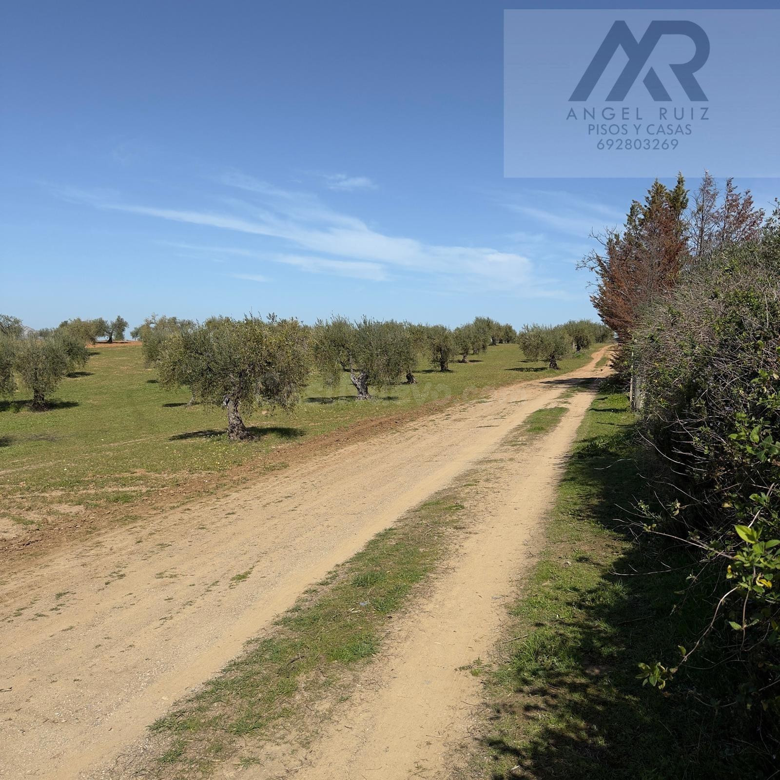 ¡OPORTUNIDAD ÚNICA JUNTO AL PANTANO DE ALANGE! - foto 3