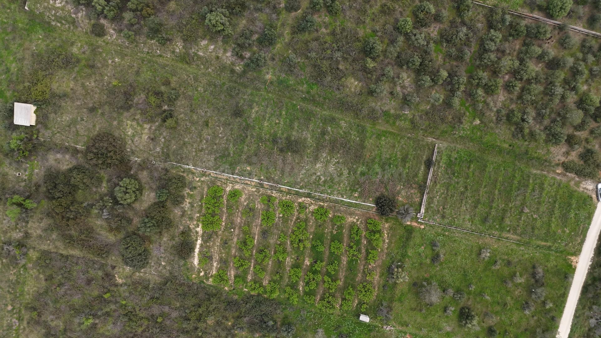 FINCA RÚSTICA EN BARXETA – NATURALEZA, PRIVACIDAD Y POTENCIAL