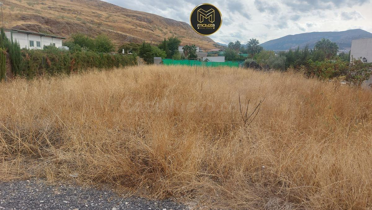 PARCELA EN PUENTE TABLAS - foto 3