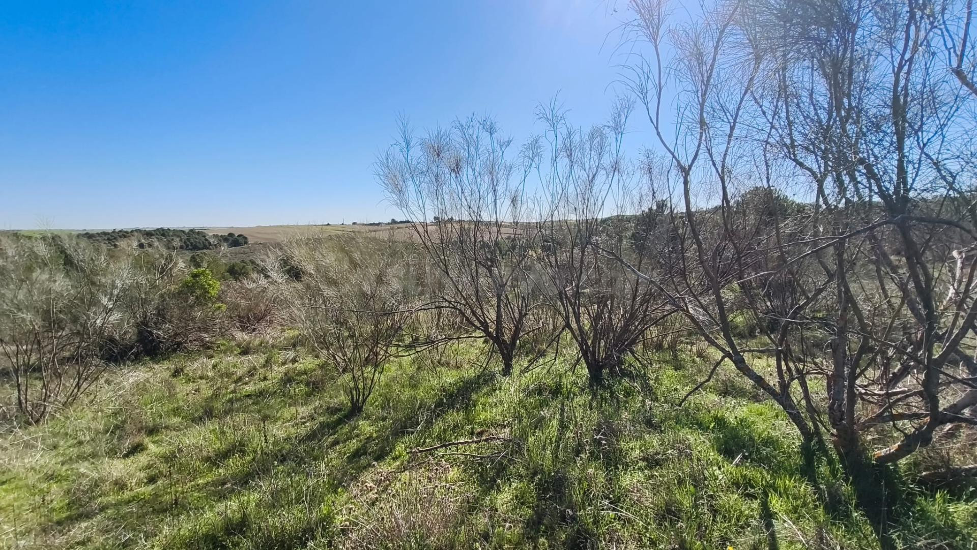 TERRENO EN COTO DE CAZA MENOR – CARRANQUE / EL VISO DE SAN J