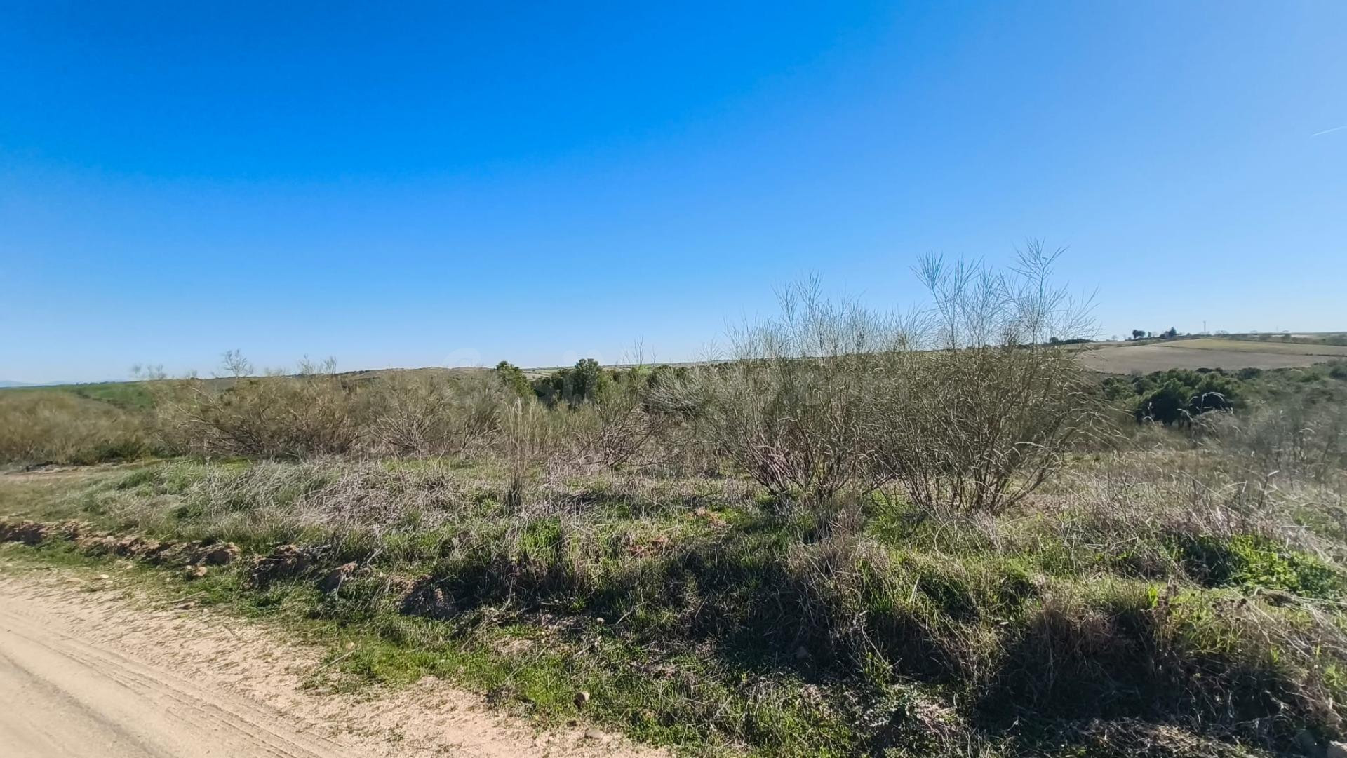 TERRENO EN COTO DE CAZA MENOR – CARRANQUE / EL VISO DE SAN J - foto 5