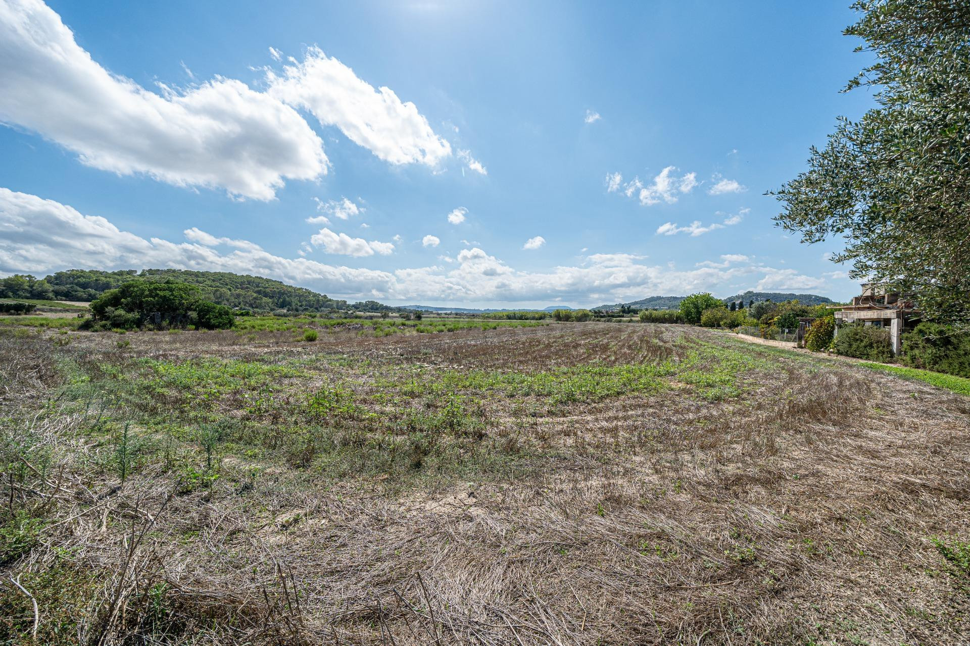 ALQUILER CON OPCION DE COMPRA PARCELA RÚSTICA AGRARIA - foto 3