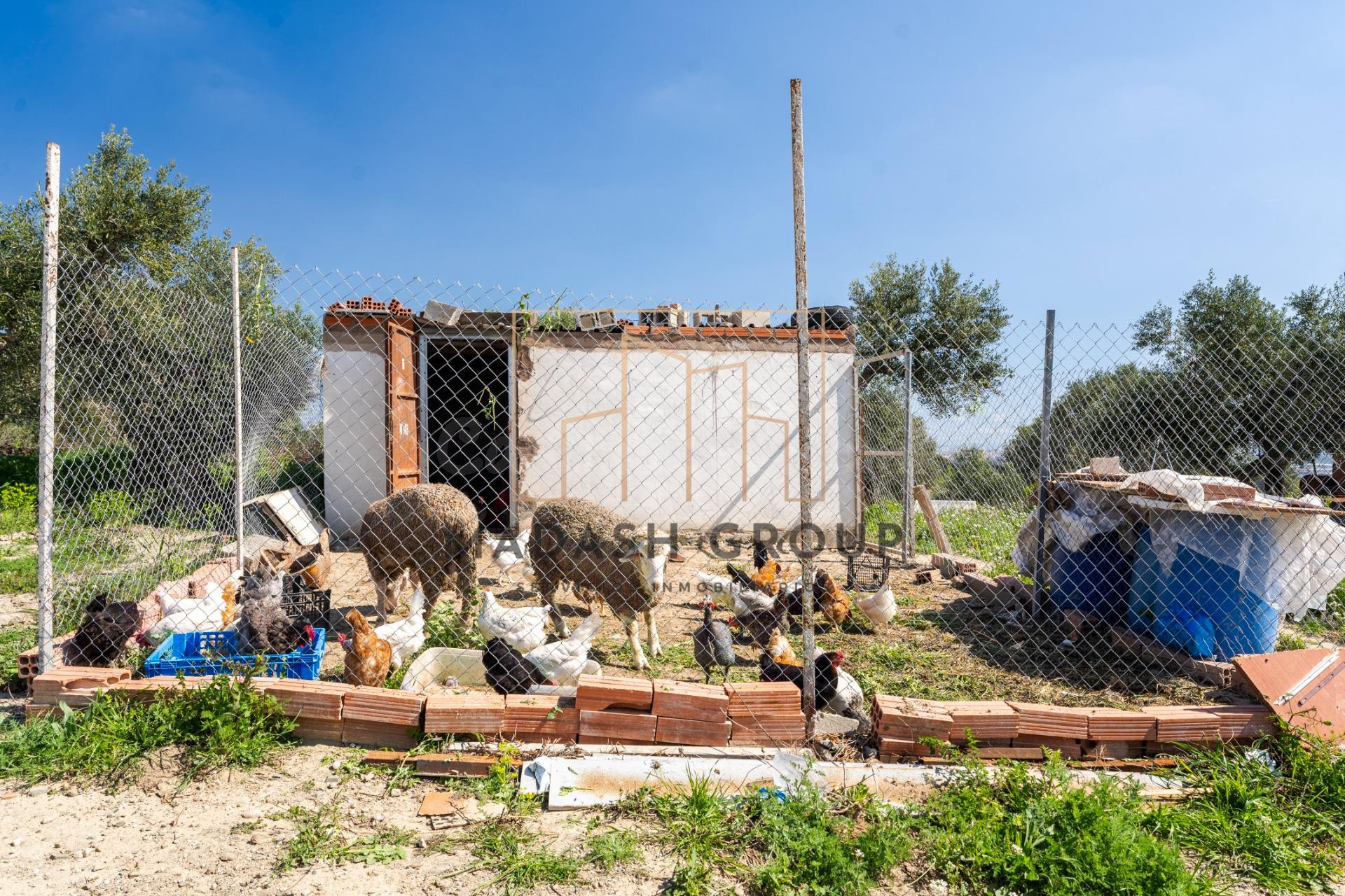 FINCA RÚSTICA EN REUS – 3.800 m2 CON MÚLTIPLES USOS