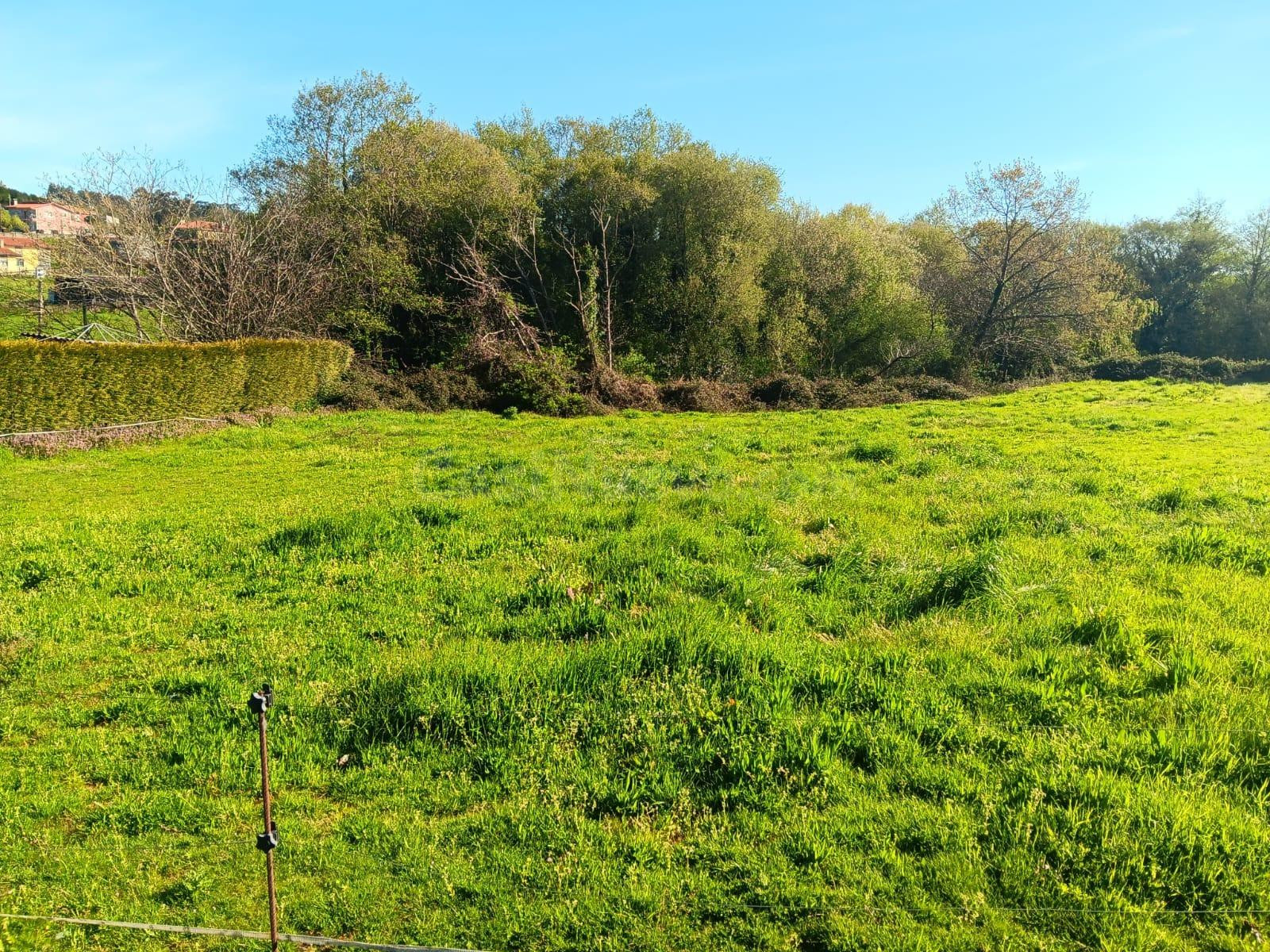 Parcela Abegondo- Regueiro da Vila - foto 3
