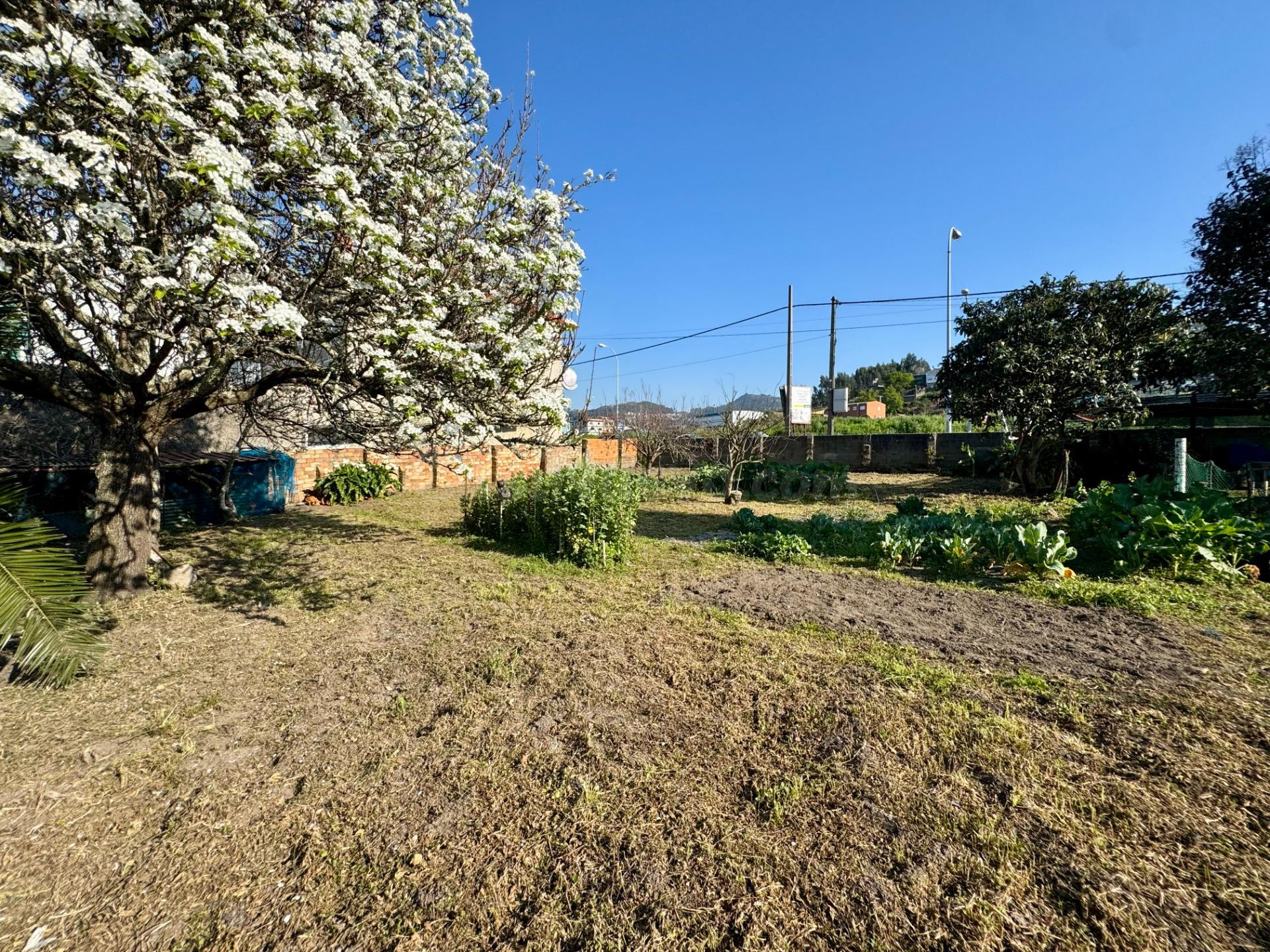 Casa a reformar con parcela de 748 m2 cerca de playas, Vigo. - foto 3