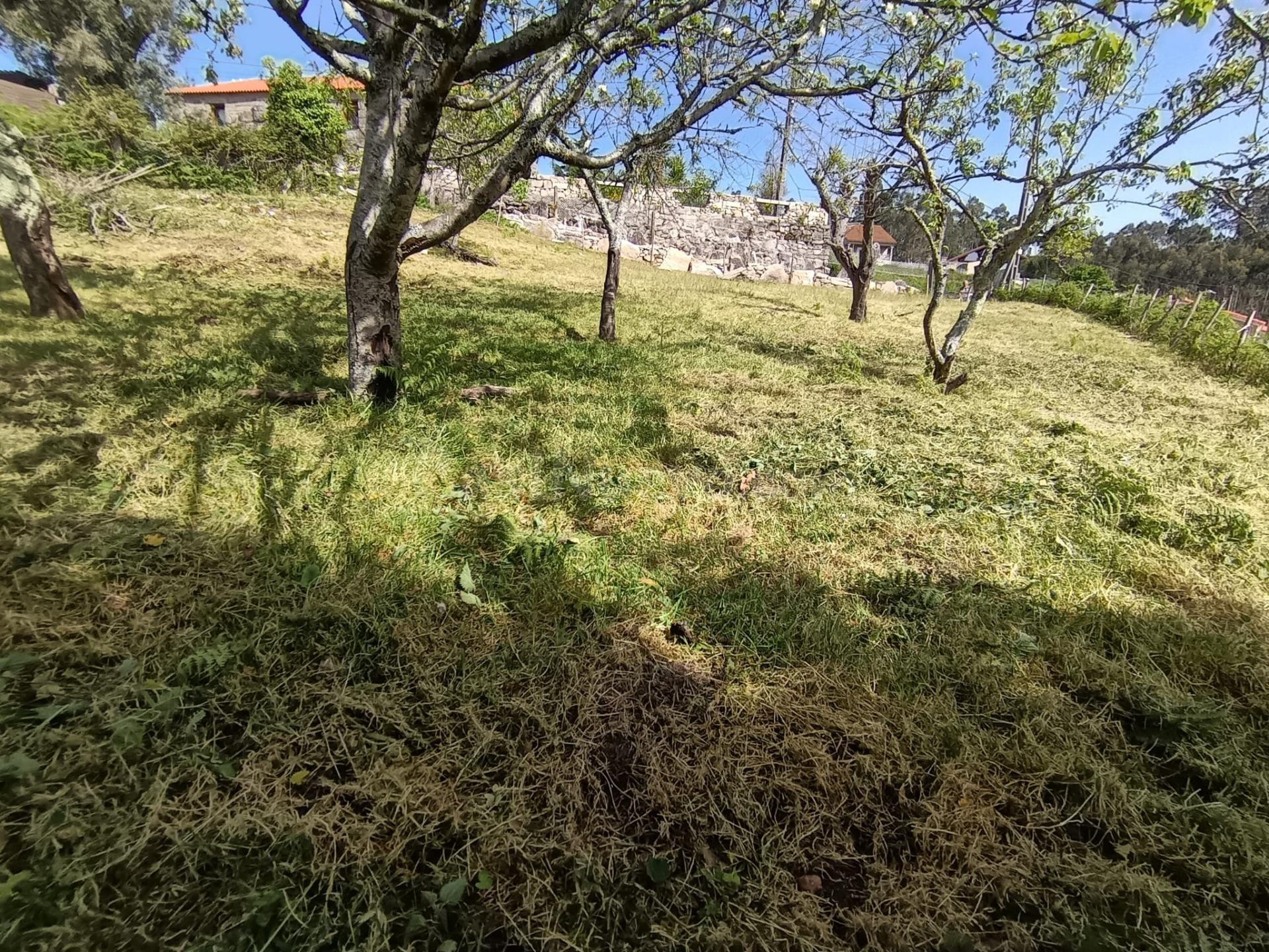 Terreno urbano edificable en Armenteira (Meis) – Entorno pri - foto 2