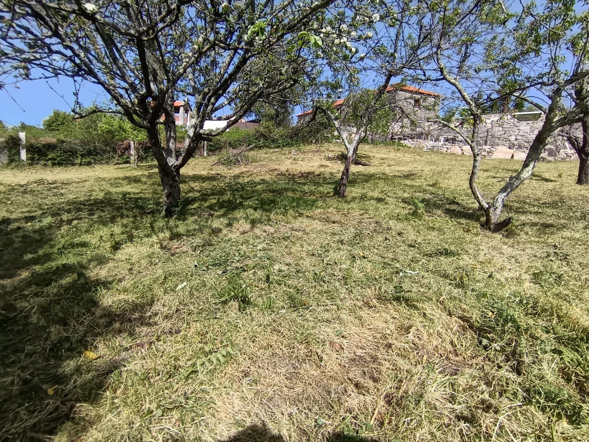 Terreno urbano edificable en Armenteira (Meis) – Entorno pri - foto 3