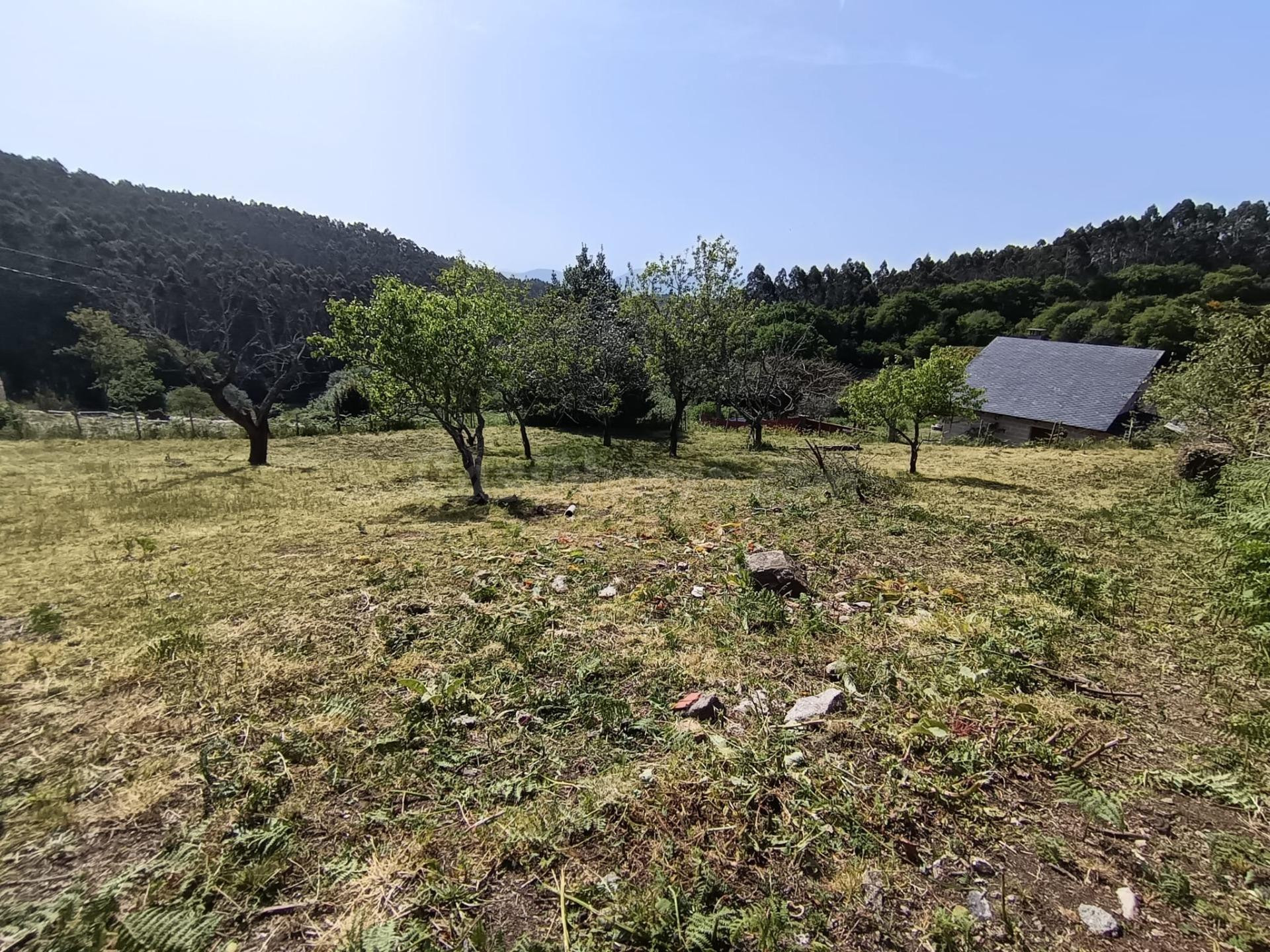 Terreno urbano edificable en Armenteira (Meis) – Entorno pri - foto 5