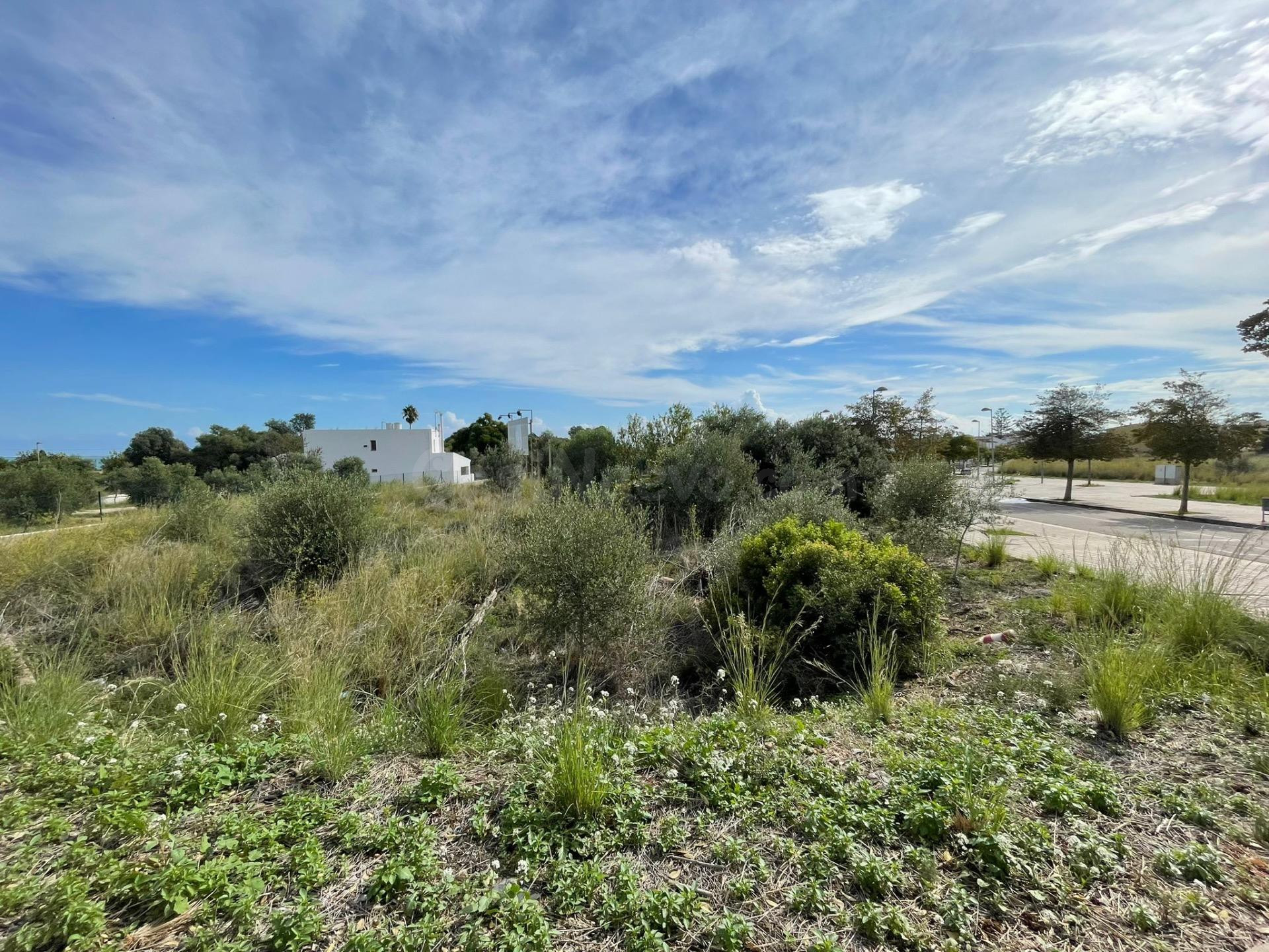 SUELO URBANO EN ALCANAR ( LES CASES D'ALCANAR)