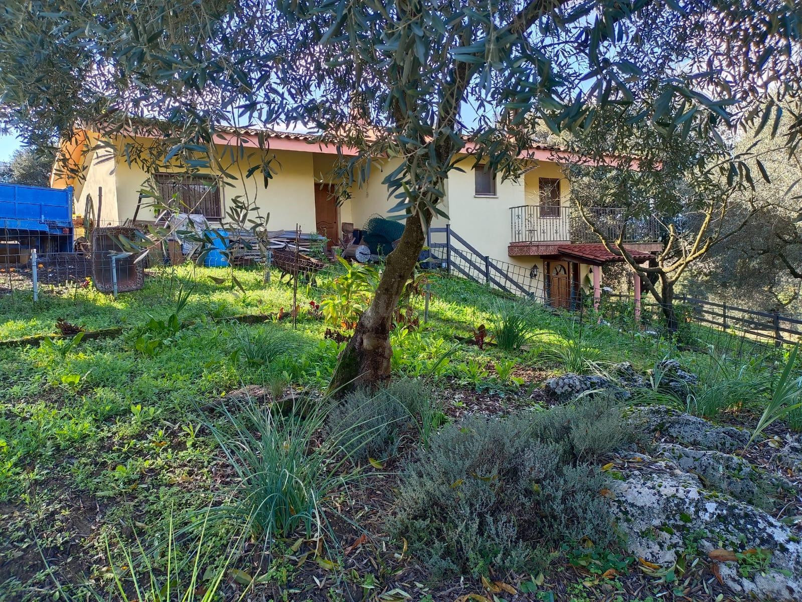 ¡OPORTUNIDAD DE INVERSIÓN EN VIVIENDA! - SANT MARTI DE LLENE - foto 2