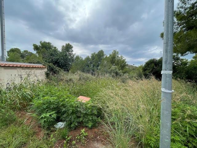 SUELO EN VENTA: CALAFELL (SEGUR CALAFELL) (TARRAGONA) - foto 4