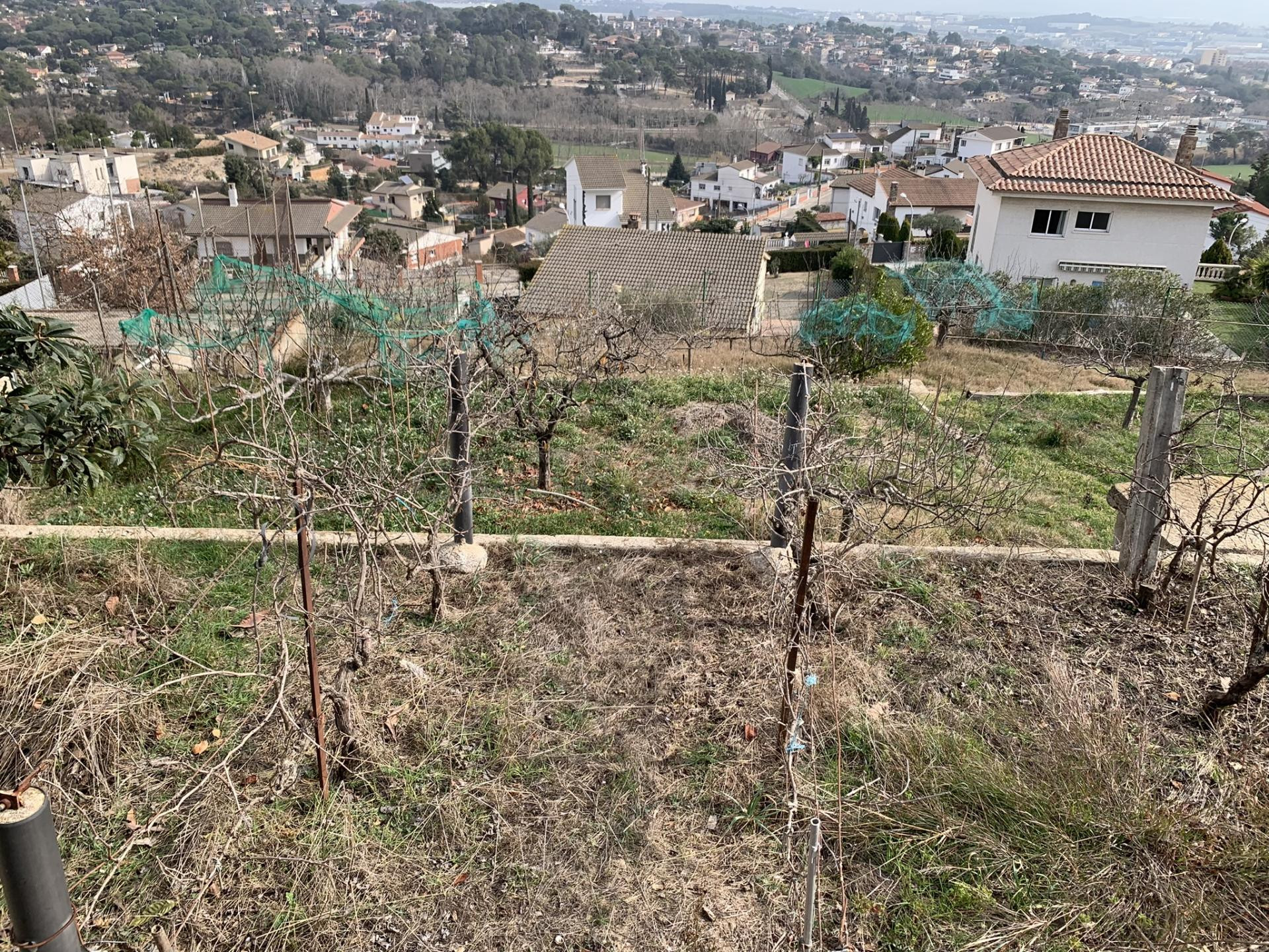 Parcela Exclusiva en Urbanización Mas Gordi - Oportunidad Ún - foto 2