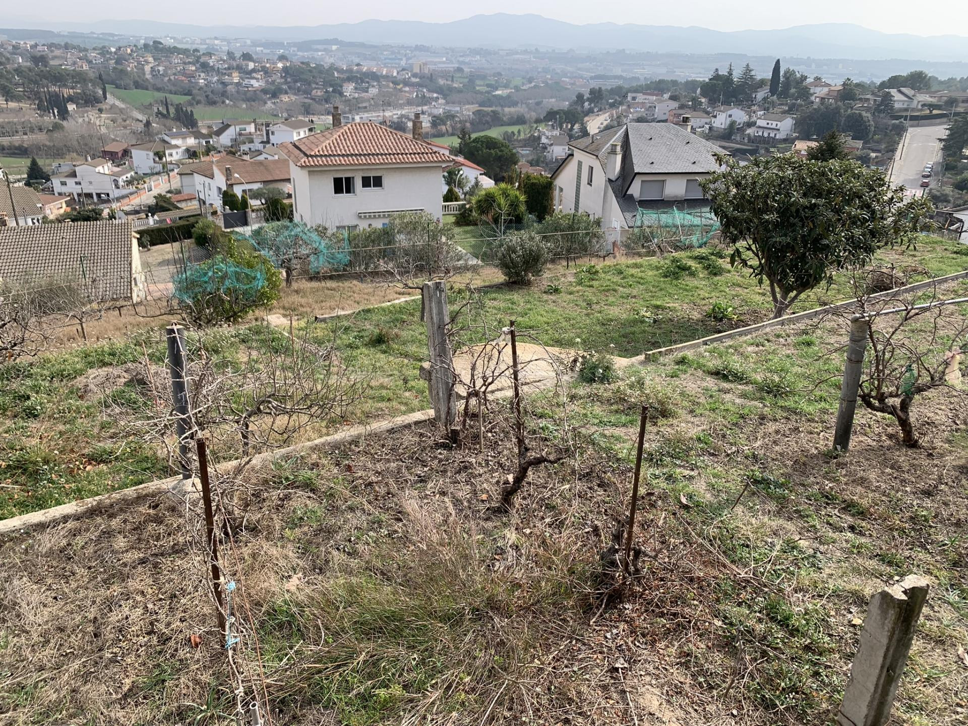 Parcela Exclusiva en Urbanización Mas Gordi - Oportunidad Ún - foto 3