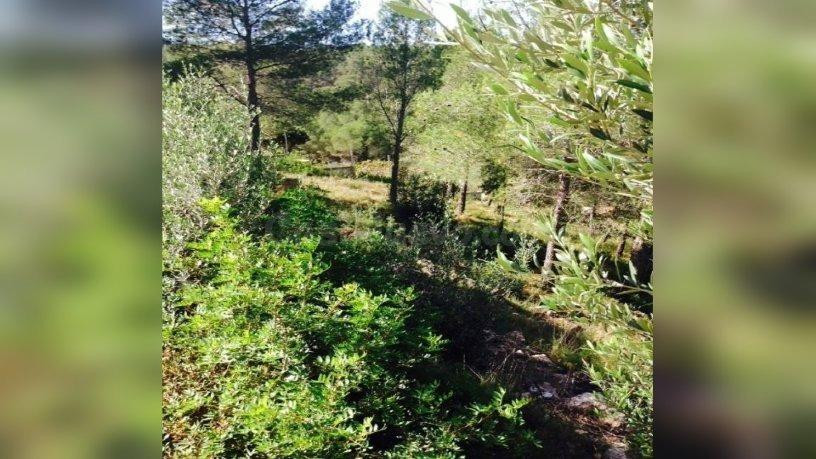 Terreno Urbano en Venta - Can Gordei, La Bisbal del Penedès (Tarragona)