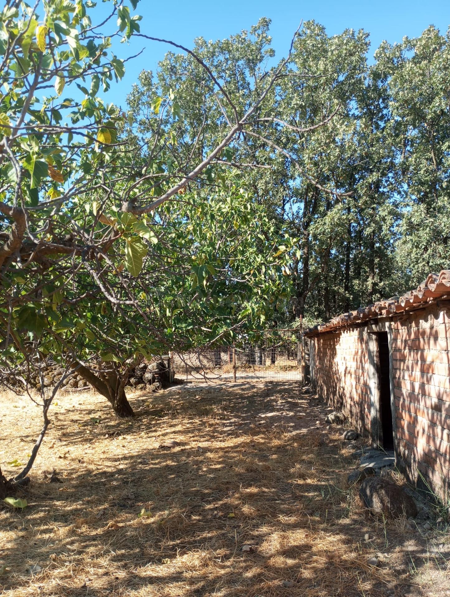 TERRENO EN CANDELEDA - foto 2