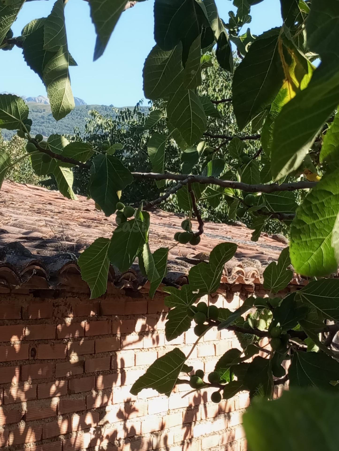 TERRENO EN CANDELEDA - foto 4