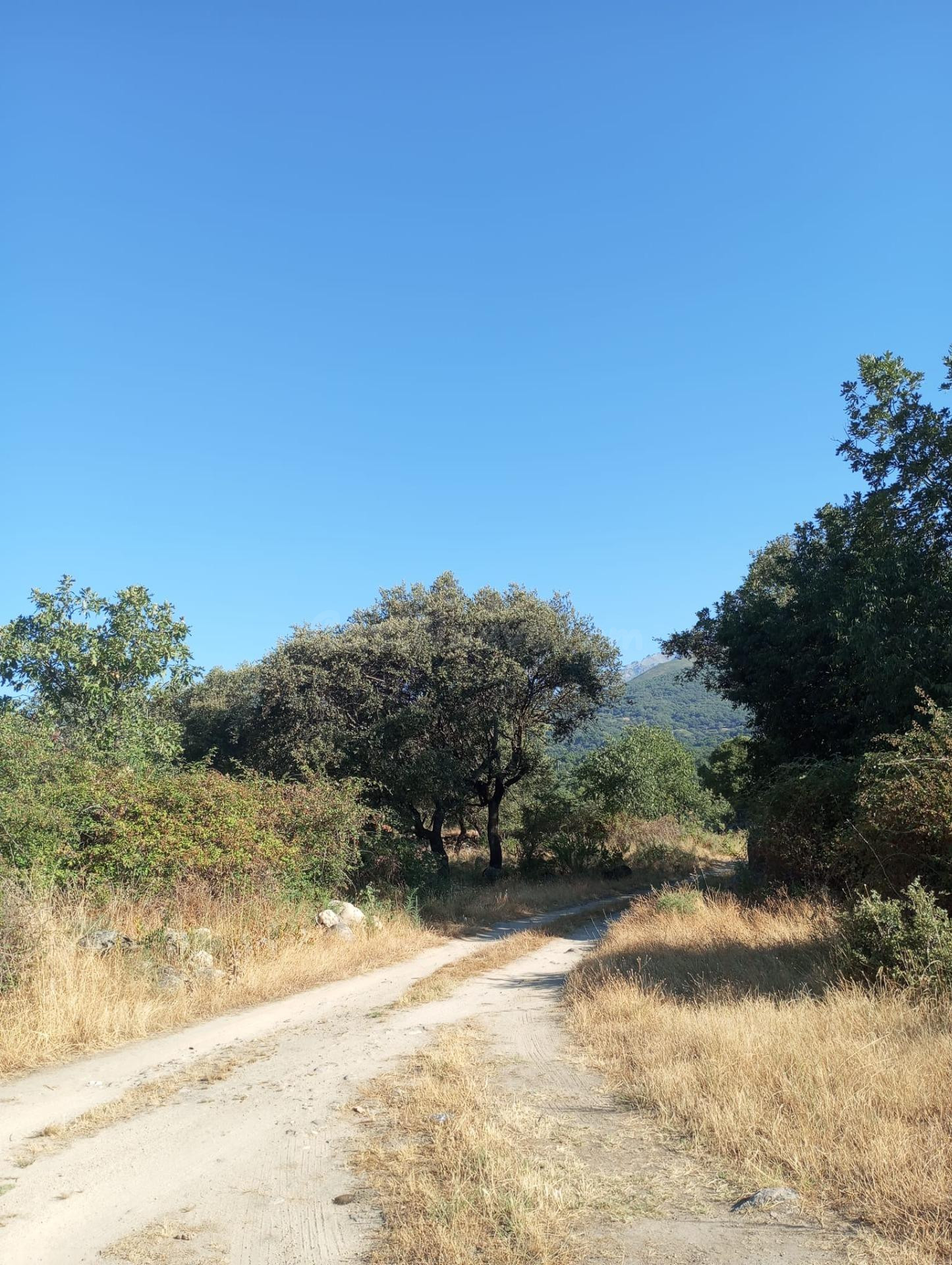 TERRENO EN CANDELEDA - foto 5