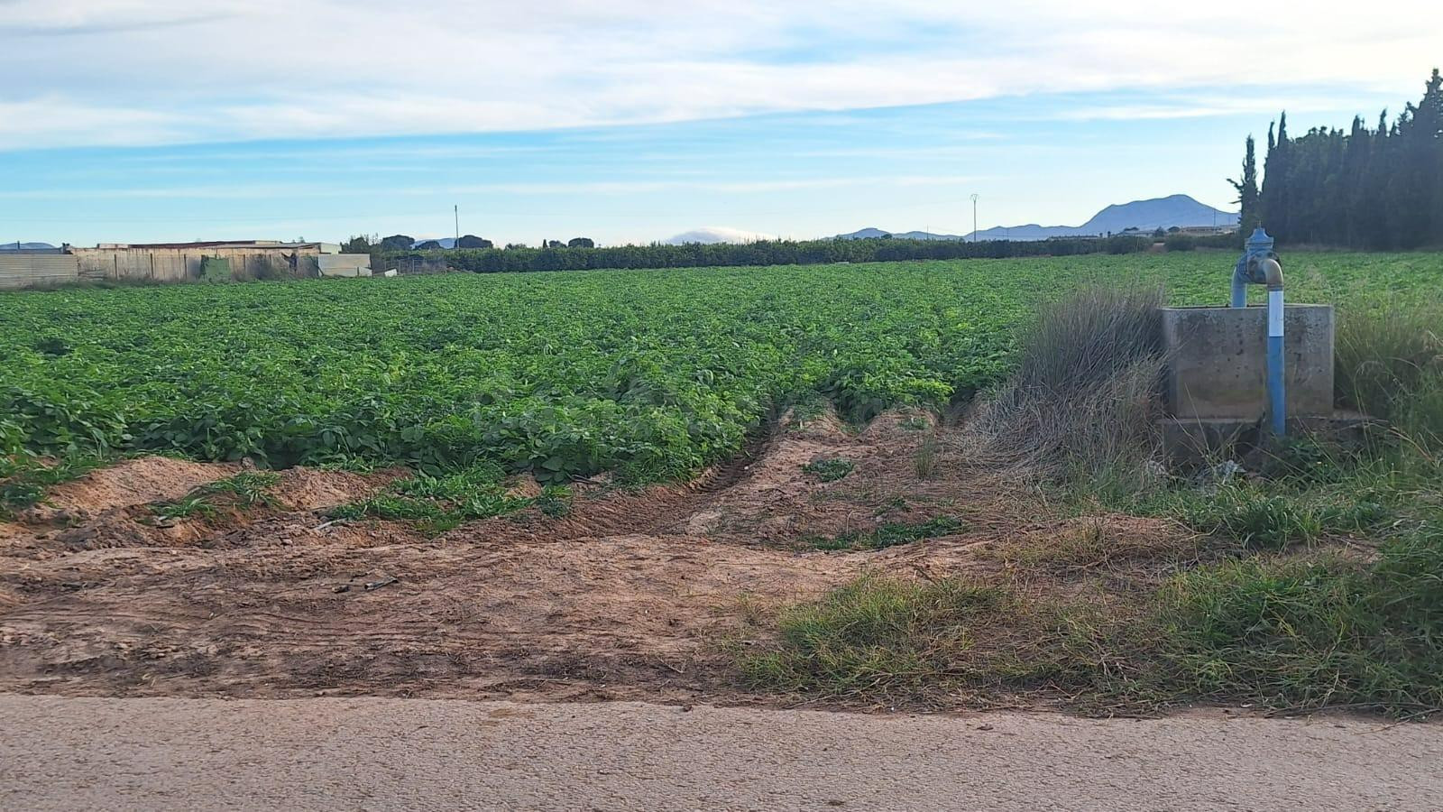 SE VENDE TERRENO RÚSTICO EN POZO ESTRECHO (CARTAGENA)