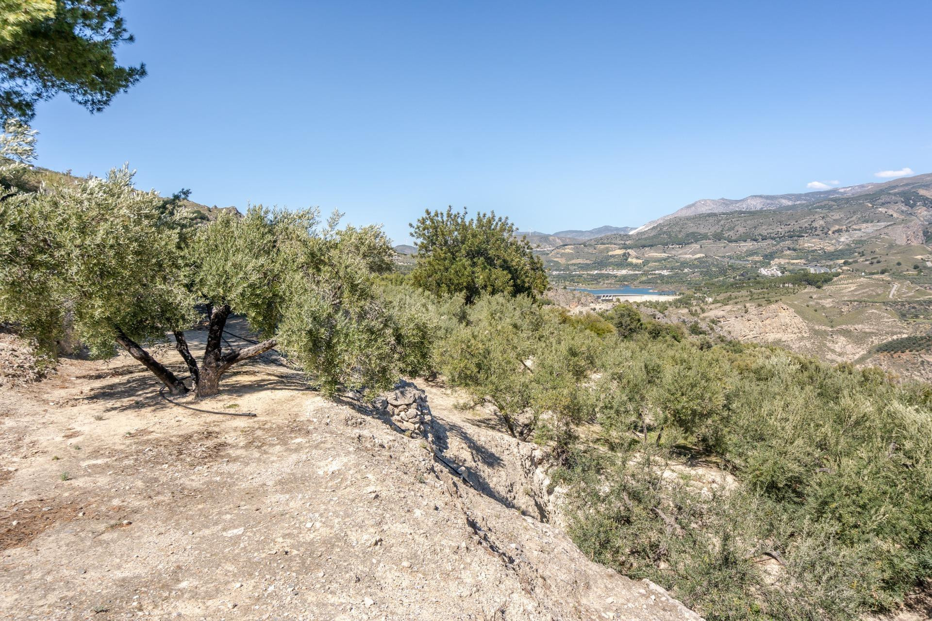 Terreno urbanizable en Pinos del Valle!!!!!!!!! - foto 2