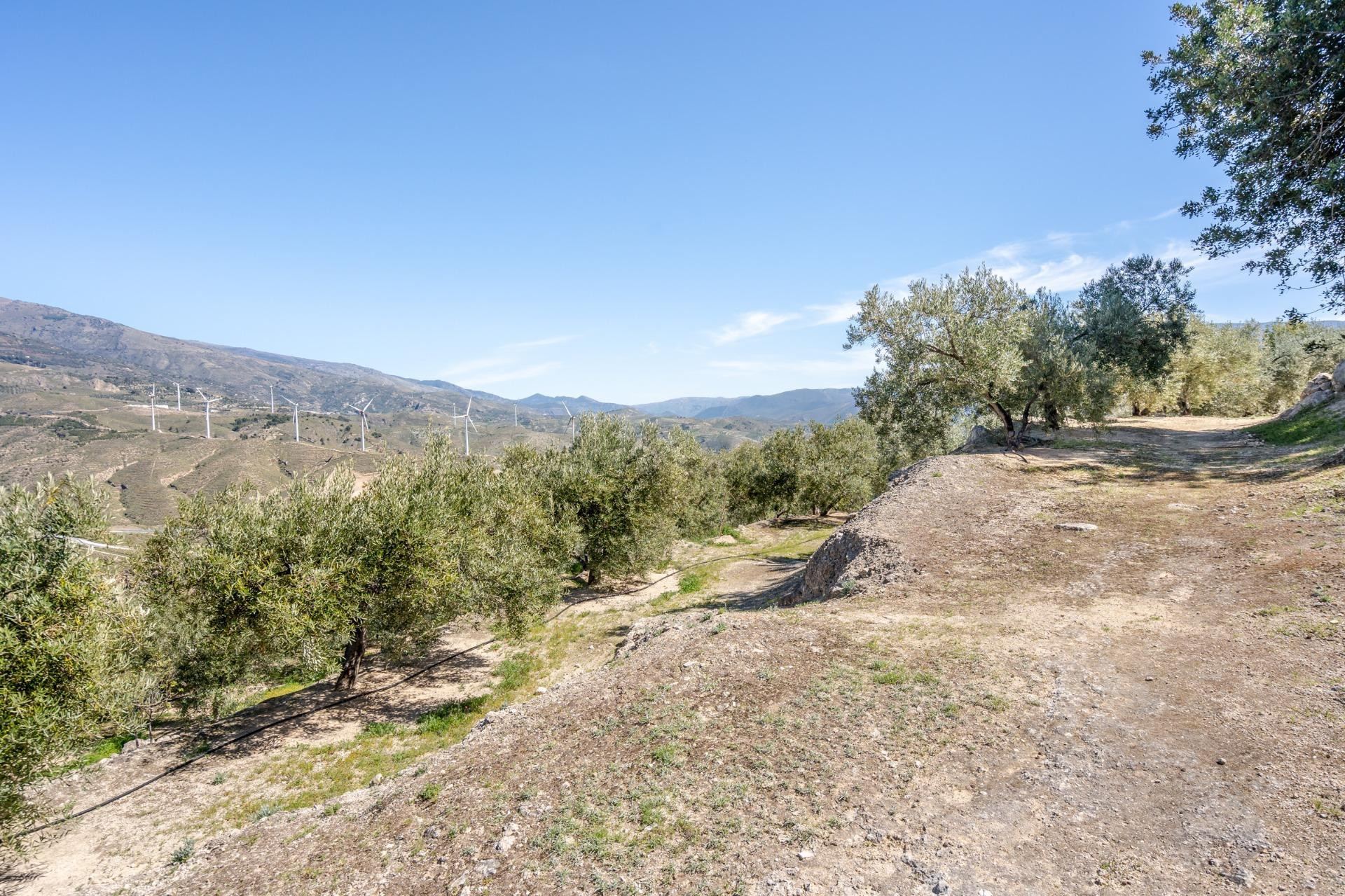 Terreno urbanizable en Pinos del Valle!!!!!!!!! - foto 5