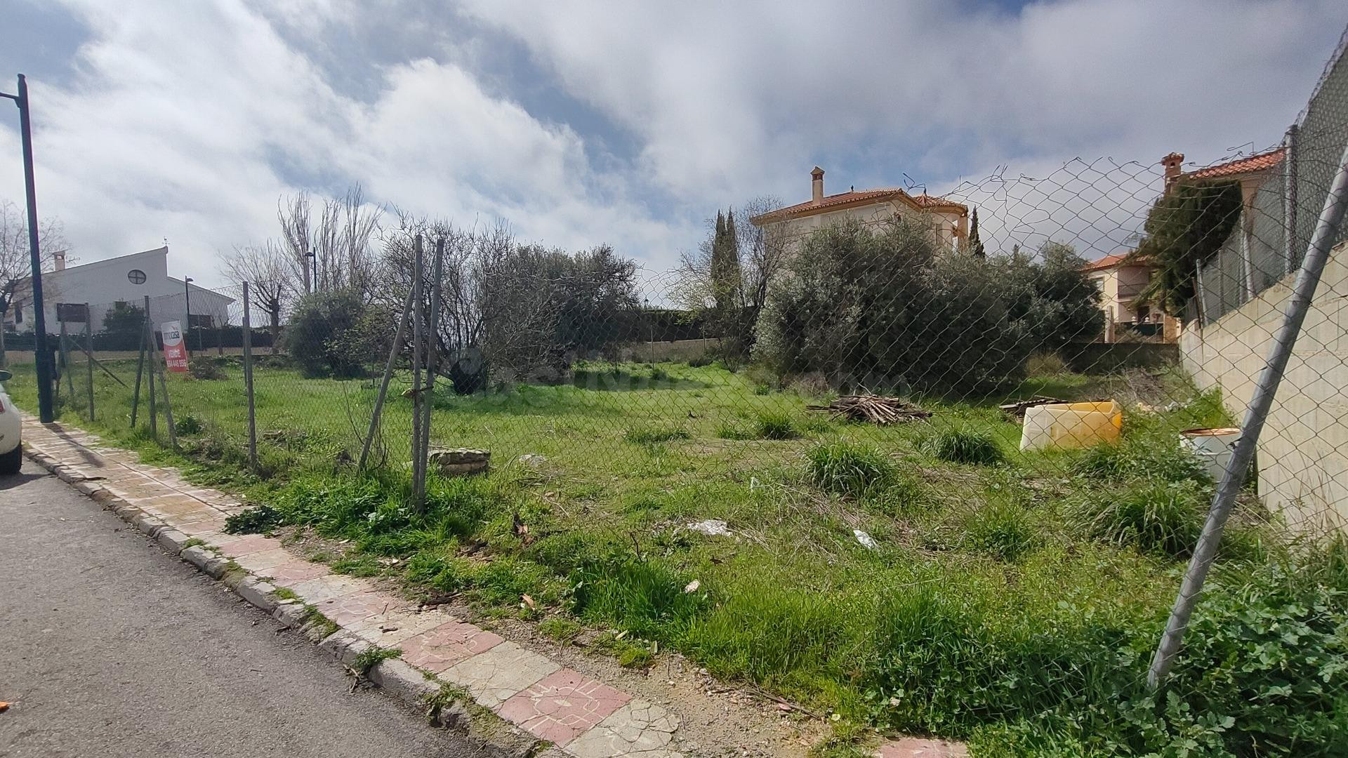 VENTA DE PARCELA COMPLETAMENTE LLANA EN EL VENTORRILLO CON P - foto 2