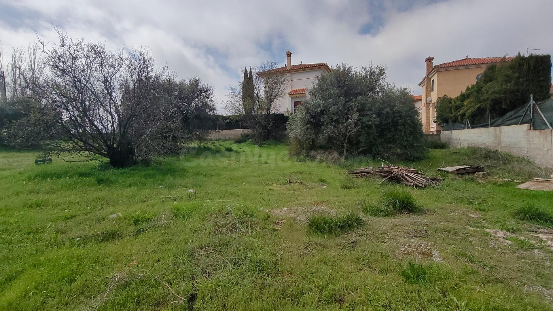 VENTA DE PARCELA COMPLETAMENTE LLANA EN EL VENTORRILLO CON P - foto 4